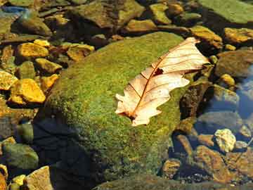 爱上海：Intimate thoughts of finding a partner