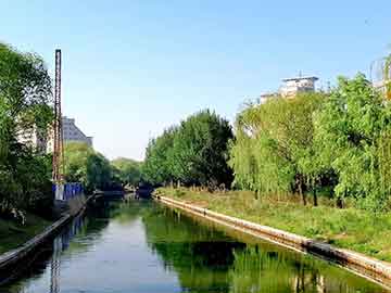 爱上海：Keep your eyes wide open! The Shanghai Forum teaches the tricks to improve urban life!
