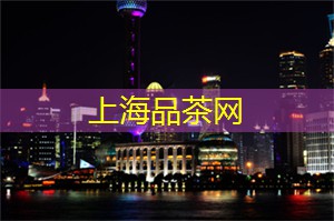 上海新茶资源：上海深夜美味：不容错过的宵夜圣地推荐